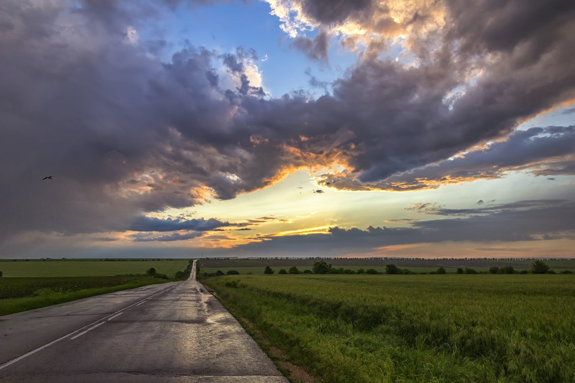 empty road